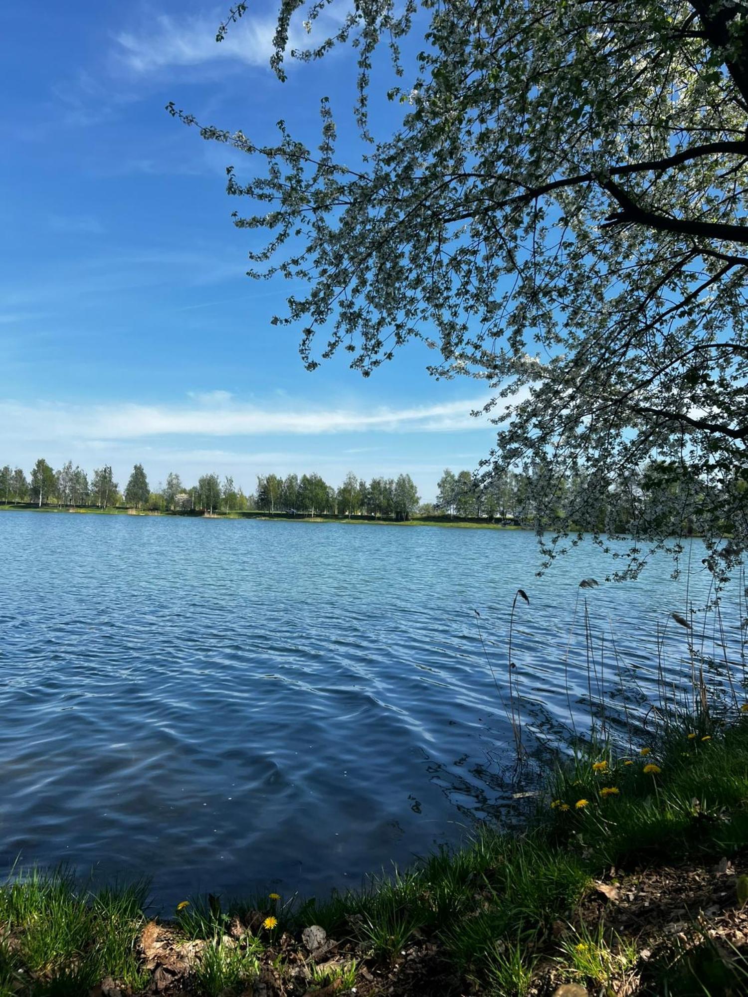 Zator Domki Interstyl, Energylandia Exteriér fotografie